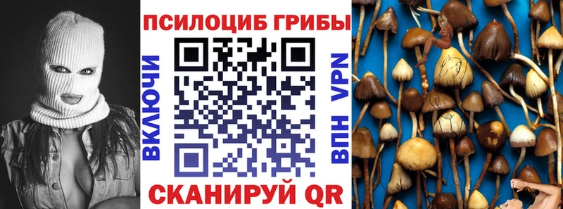 сколько стоит Агрыз Псилоцибиновые грибы мухоморы